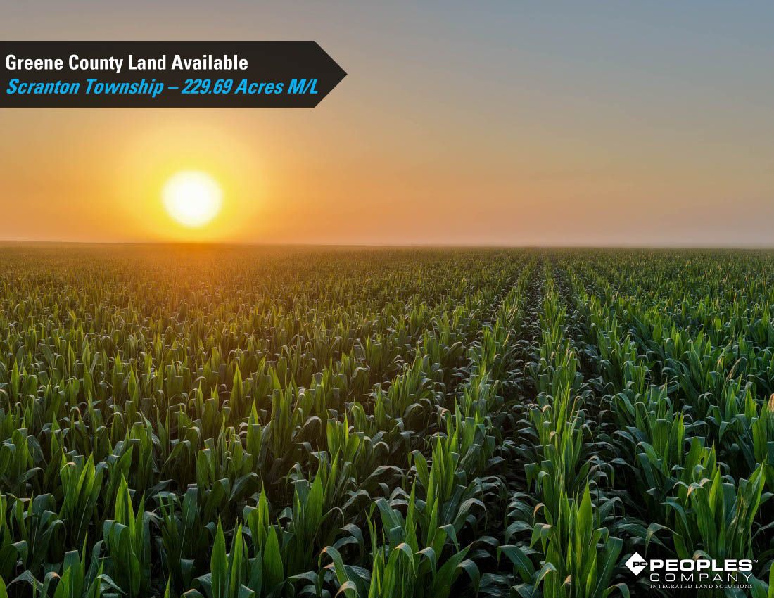 Listing Photo: Greene-County-Iowa-Land-Available-Scranton-Iowa-229-Acres-19614 (2)